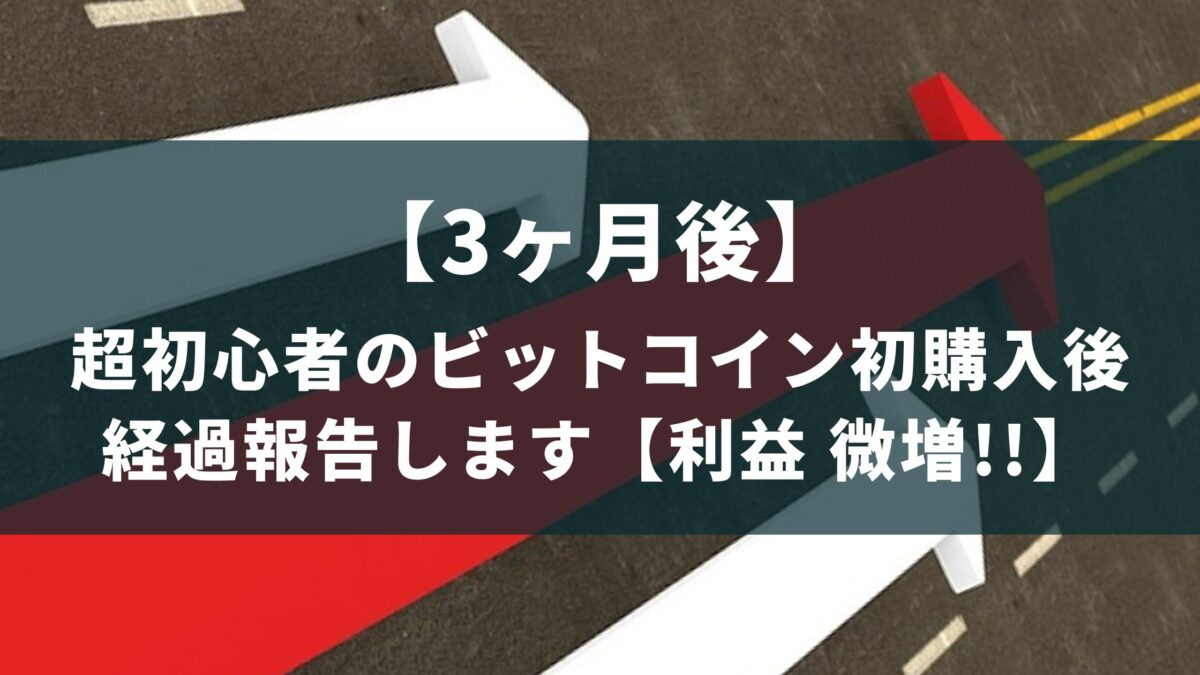 3ヶ月後】超初心者のビットコイン初購入後の経過報告【利益微増】 - 仮想通貨ビギナーとスマホゲーム